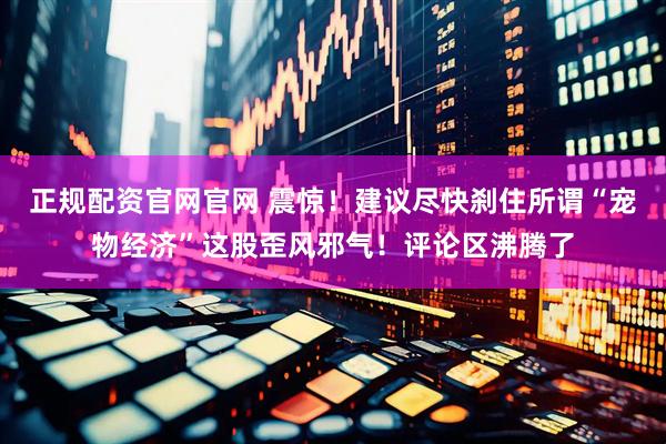 正规配资官网官网 震惊！建议尽快刹住所谓“宠物经济”这股歪风邪气！评论区沸腾了